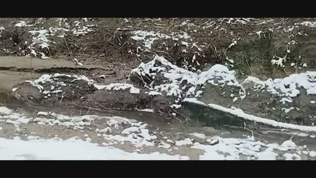 Съездили на кладбище. Показываю название роз по просьбе подписчиков.