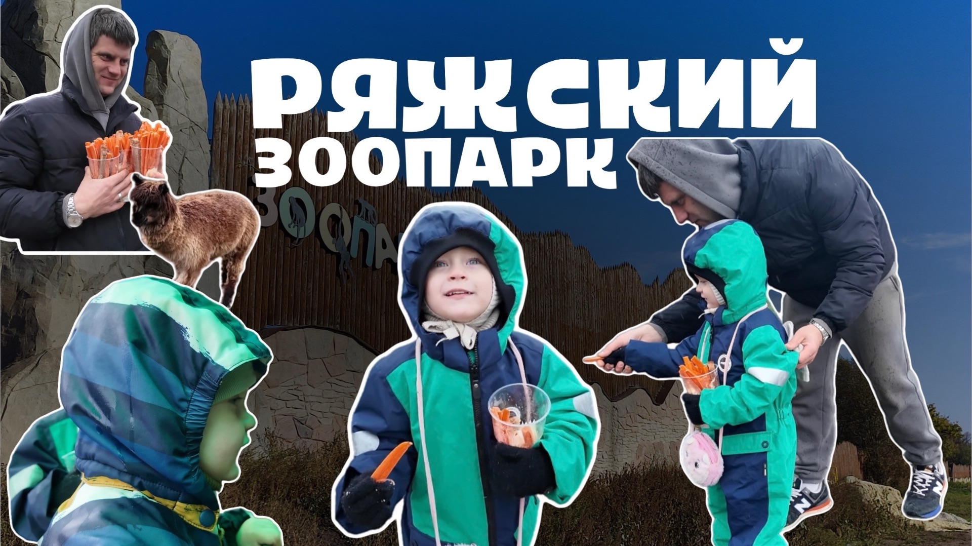 РЯЖСКИЙ ЗООПАРК /  КОРМИМ ЖИВОТНЫХ / ЖИВОТНЫЕ / ВИДЕО ДЛЯ ДЕТЕЙ / ДЕТСКОЕ ВИДЕО / ЛЕВЫ / ТИГРЫ