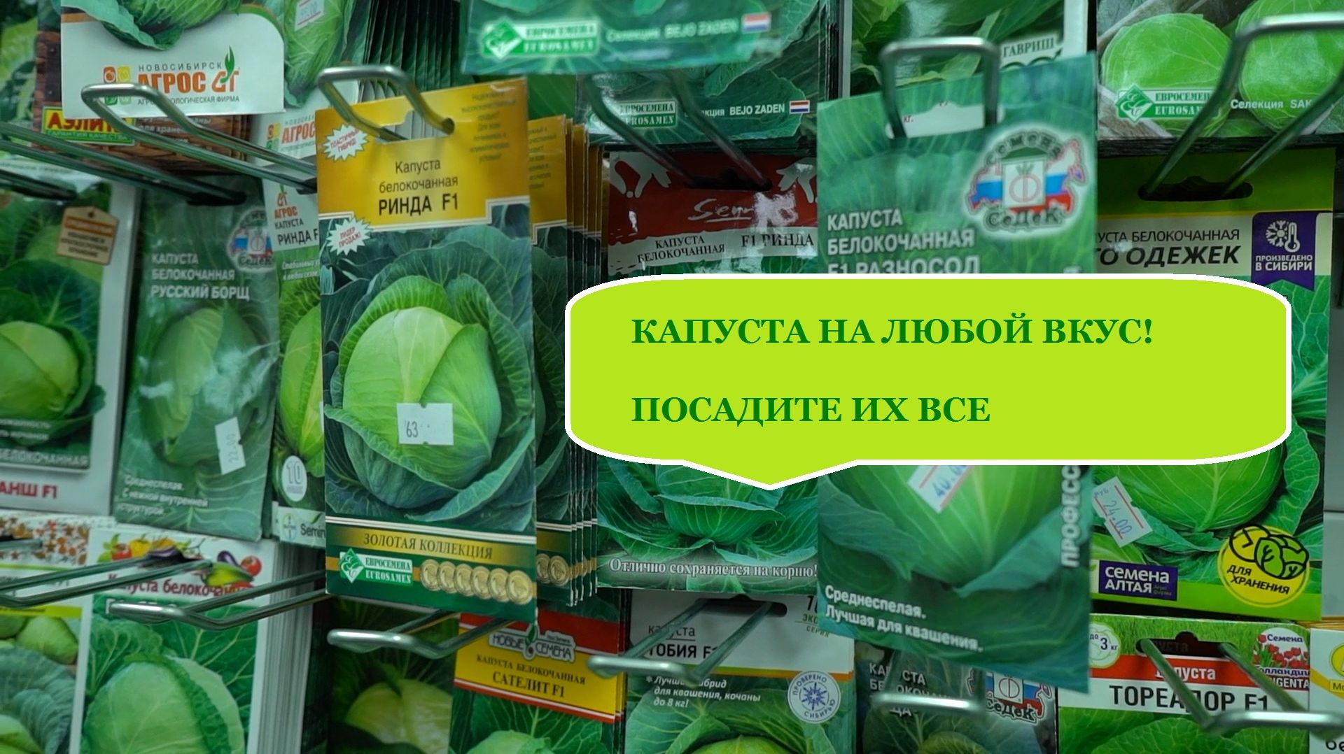 Посадите такую капусту. На все вкусы и случаи жизни. Большой обзор разновидностей капусты