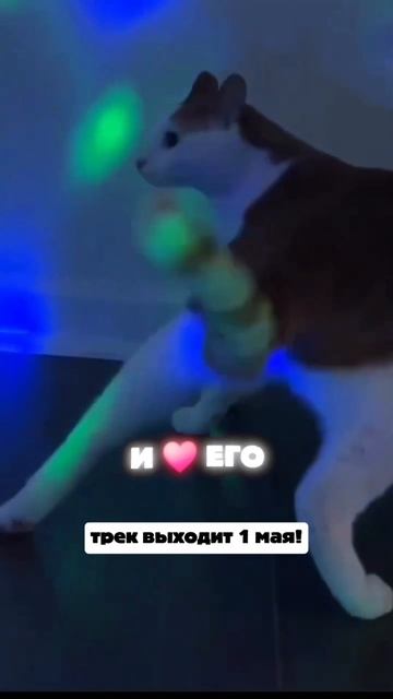 #майлз #ойзапала