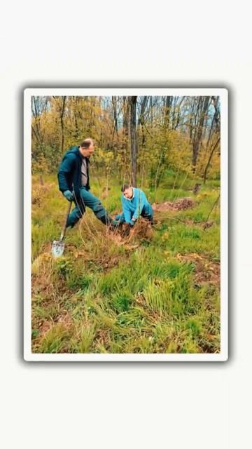 Город Солнца МаЭД Тарходар. Сергей Головань, Днепр. МНШУ