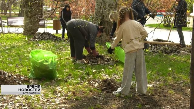 Зеленый фонд Волгограда пополнили более тысячи деревьев и кустарников