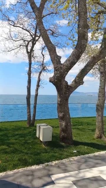 Весна 2026 года. Первые дни...