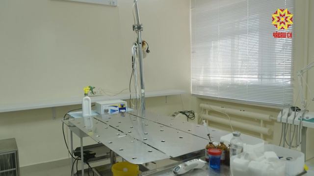 2030 çулччен Чăваш Енре чĕр чунсене операци тумалли кабинетсен шутне 11 таран ÿстерĕç