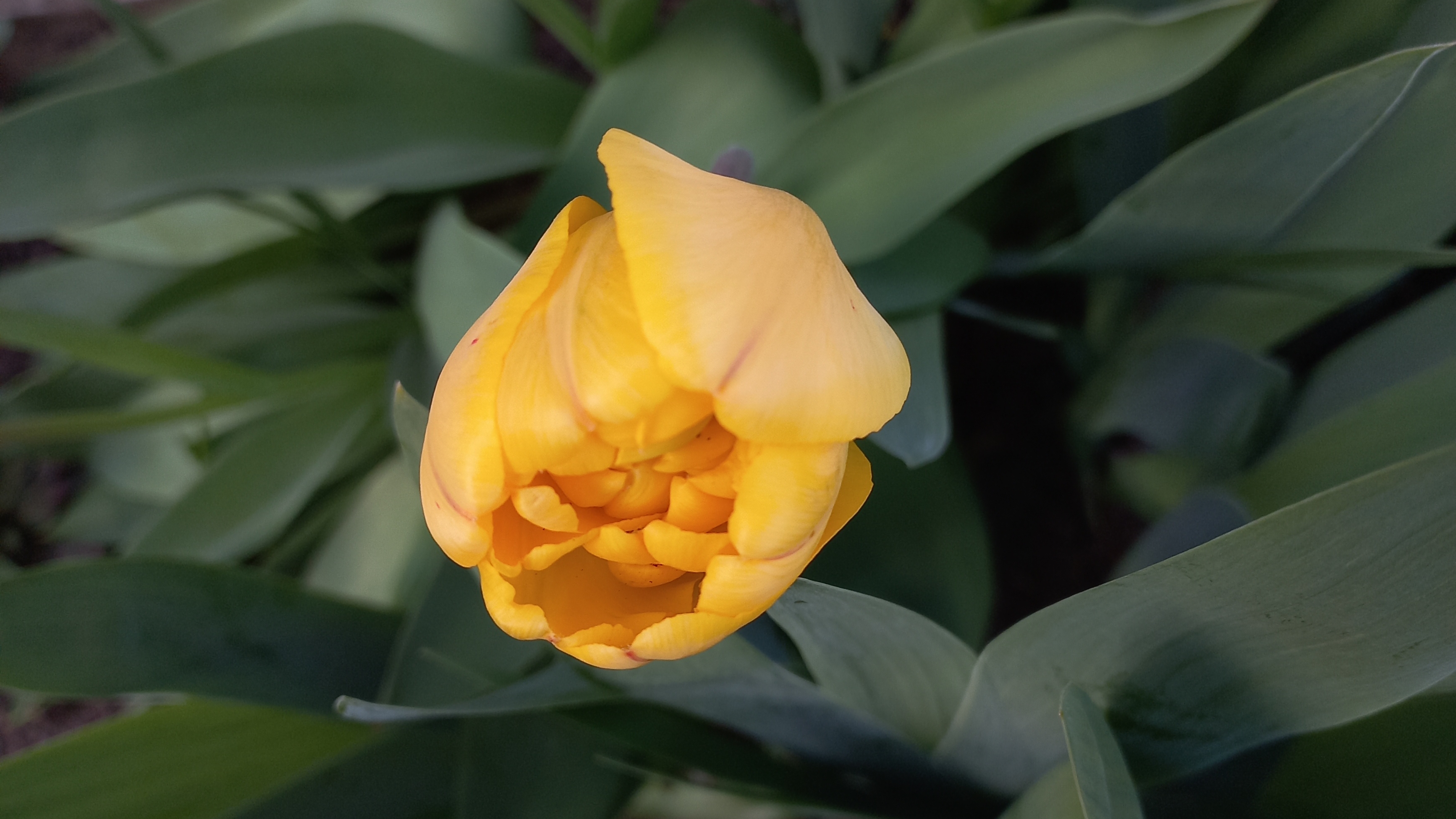 Влог 19-21.04.26 Погода испортилась.