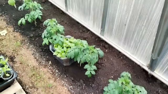 20.04.2026 Холодно. +3