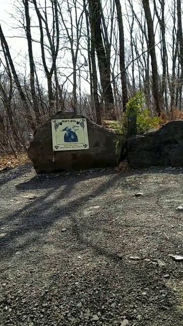 Могила козла Тимура, друга тигра Амура.