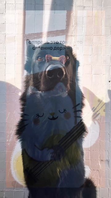 ты просто молодец