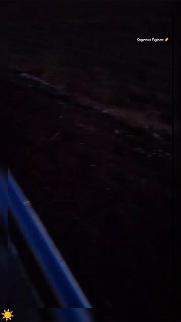 #ласточкино #панорама #мояпрогулка #солнечный #15ноября2025год #событиедня #красивыйвечер #саратов