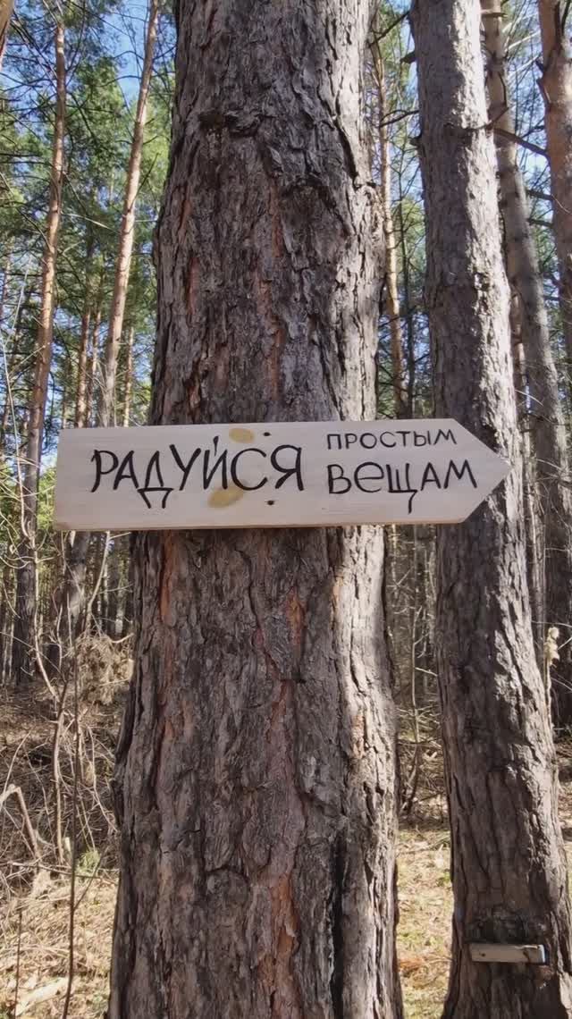 Чудесный денёк #Алтай #Белокуриха #прогулка