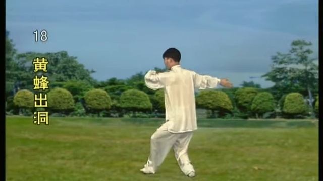 ТайцзиЧжан №3