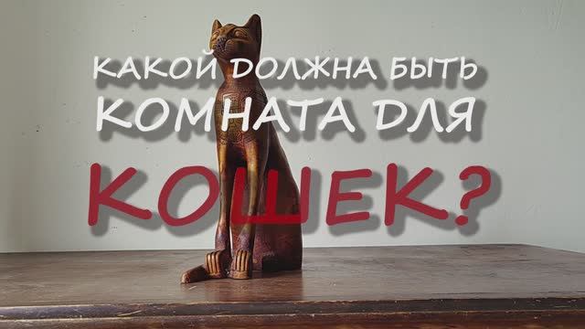 Какой должна быть комната для кошек?