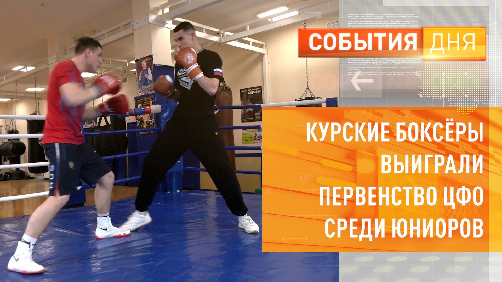 Курские боксёры выиграли первенство ЦФО среди юниоров