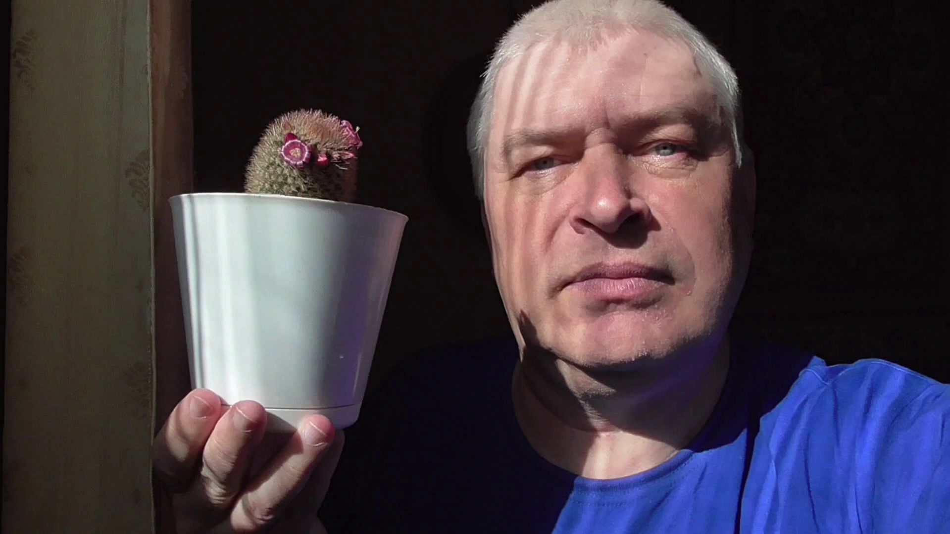 У меня белый цветочный горшок. На кактусе бутоны и цветы. Цветёт кактус