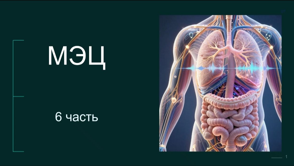 Программа МЭЦ. Часть 6