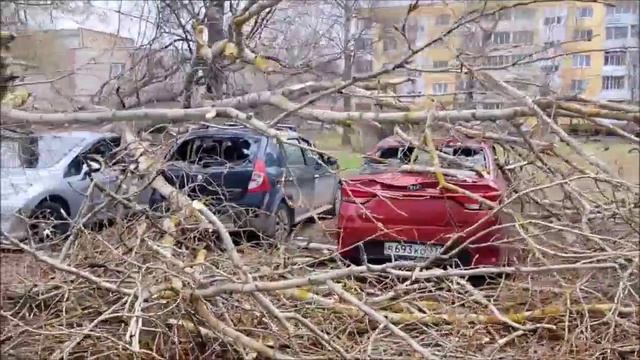 Упавшее во дворе дома дерево повредило четыре припаркованных автомобиля