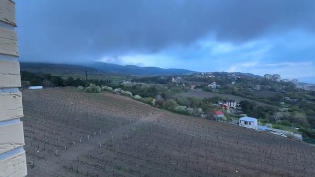 ЖИЗНЬ СРЕДИ ВИНОГРАДНИКОВ, ГОР И МОРЯ🌊⛰️🍇 | #недвижимостькрыма