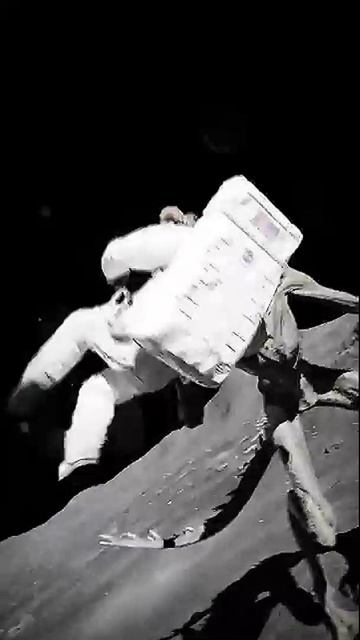 Встреча с Лунатиками. Невероятное #невероятное #чудо #необычный #фантастика #ИИ #нейросеть