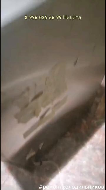 Ремонт винного шкафа Liebherr Москва 8 926 035 66 99 Никита