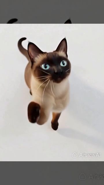 Мультяшный котик филя