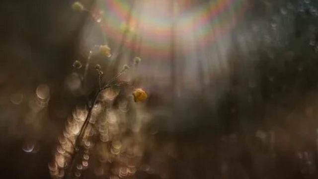 М.878)) Молимся вместе. Уныние.