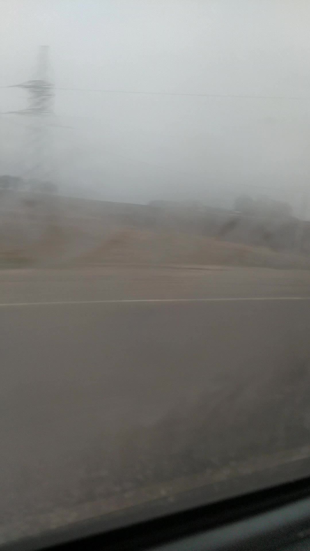 стрим #мы едем на дачу