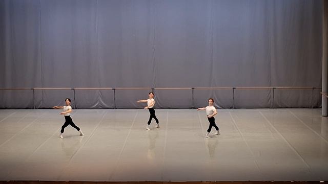 МГАХ. Госэкзамен по классическом танцу.  Юноши. Педагог  Д.Медведев. 20.04.26 (4)