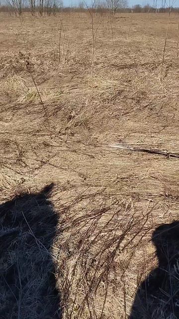 Прогулка с лошадьми по сухому весеннему полю🌱
Хотите прогуляться с нами?

#коннаяпрогулка #лошади