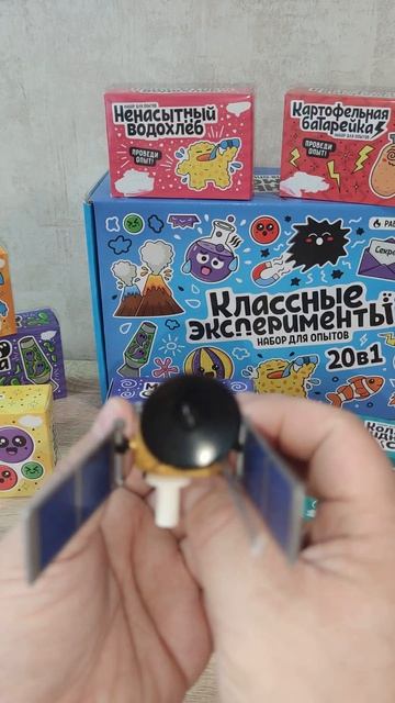 Спутник Медведь Костя