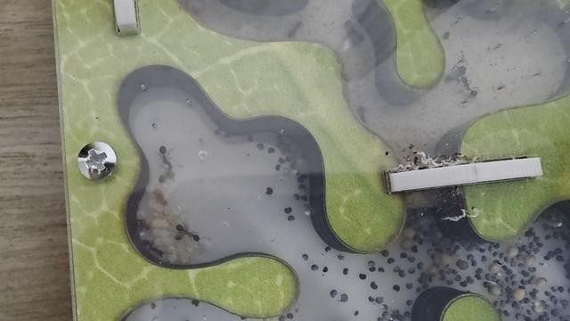 Жизнь муравьёв. 28 серия.