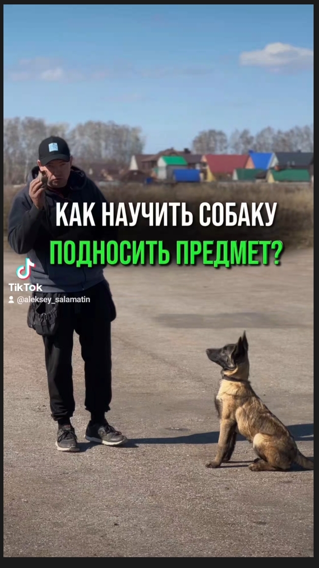 Дрессировка как научить собаку приносить игрушку, команда 