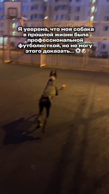 ФУТБОЛИСТКА⚽️🐶