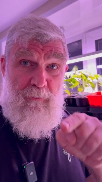 Не время расслабляться!