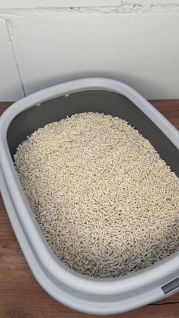 Совок для кошачьего лотка RICH BREED серый