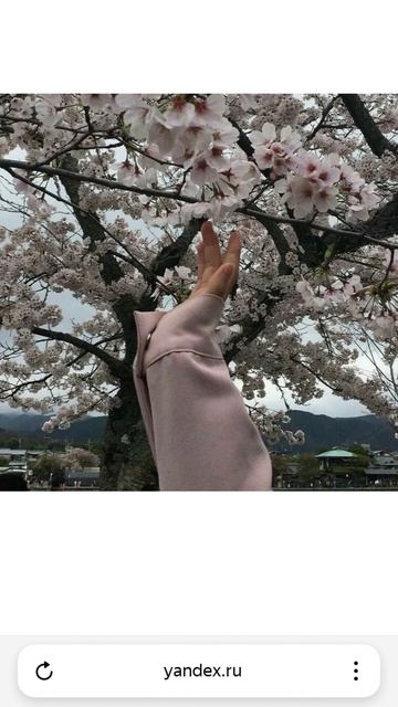 Берите это вам