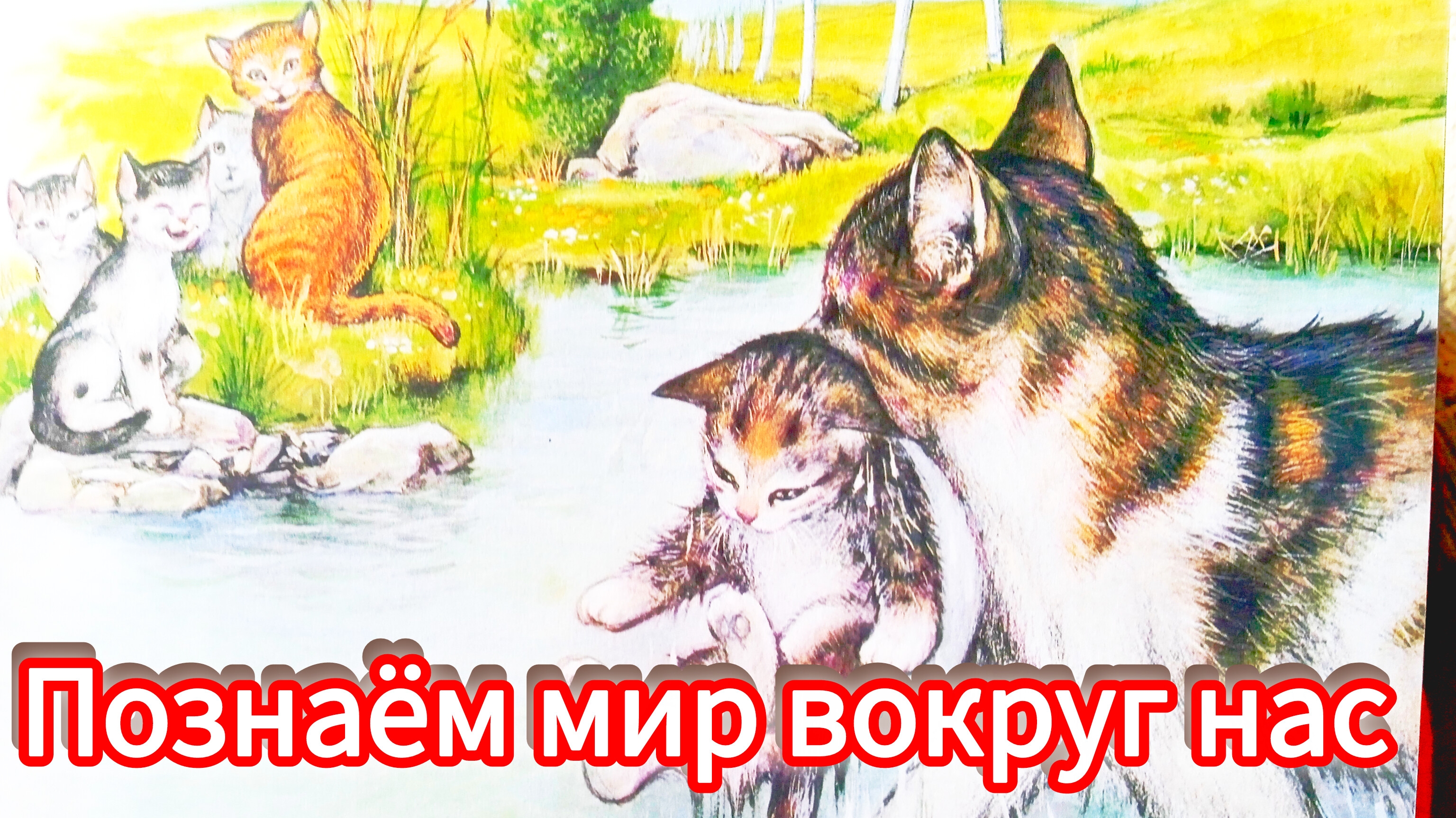 ПРИКЛЮЧЕНИЯ КОТЁНКА / познаем мир вокруг нас/