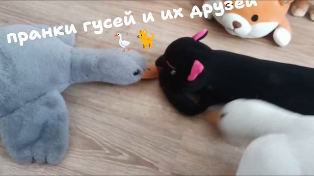 пранки гусей и их друзей разных зверей 🪿🪿🌋