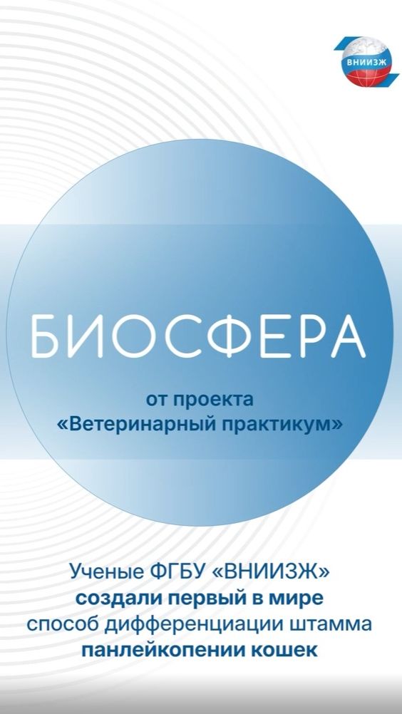 Ученые ФГБУ «ВНИИЗЖ» создали первый в мире способ дифференциации штамма панлейкопении кошек