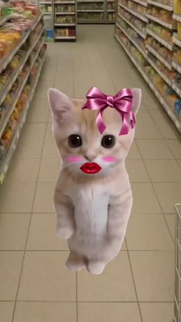 котята пояснят)