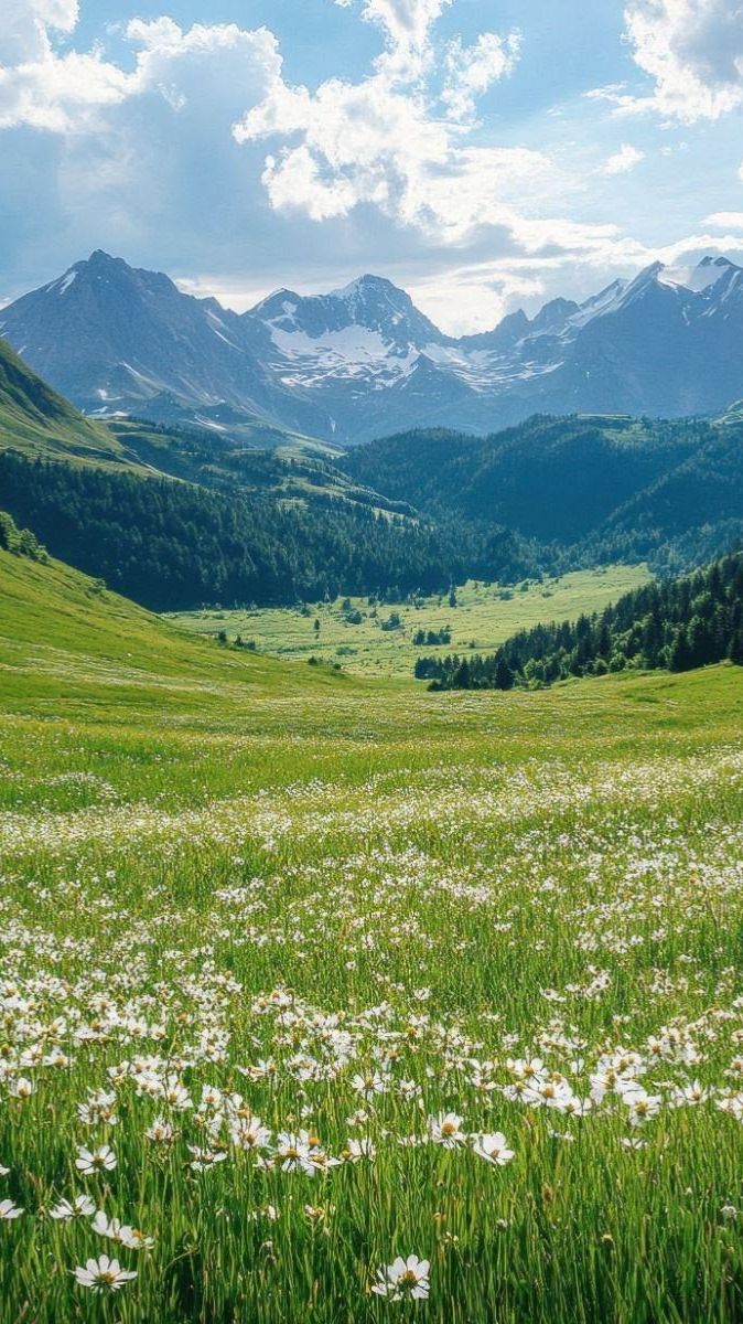 видеоролик