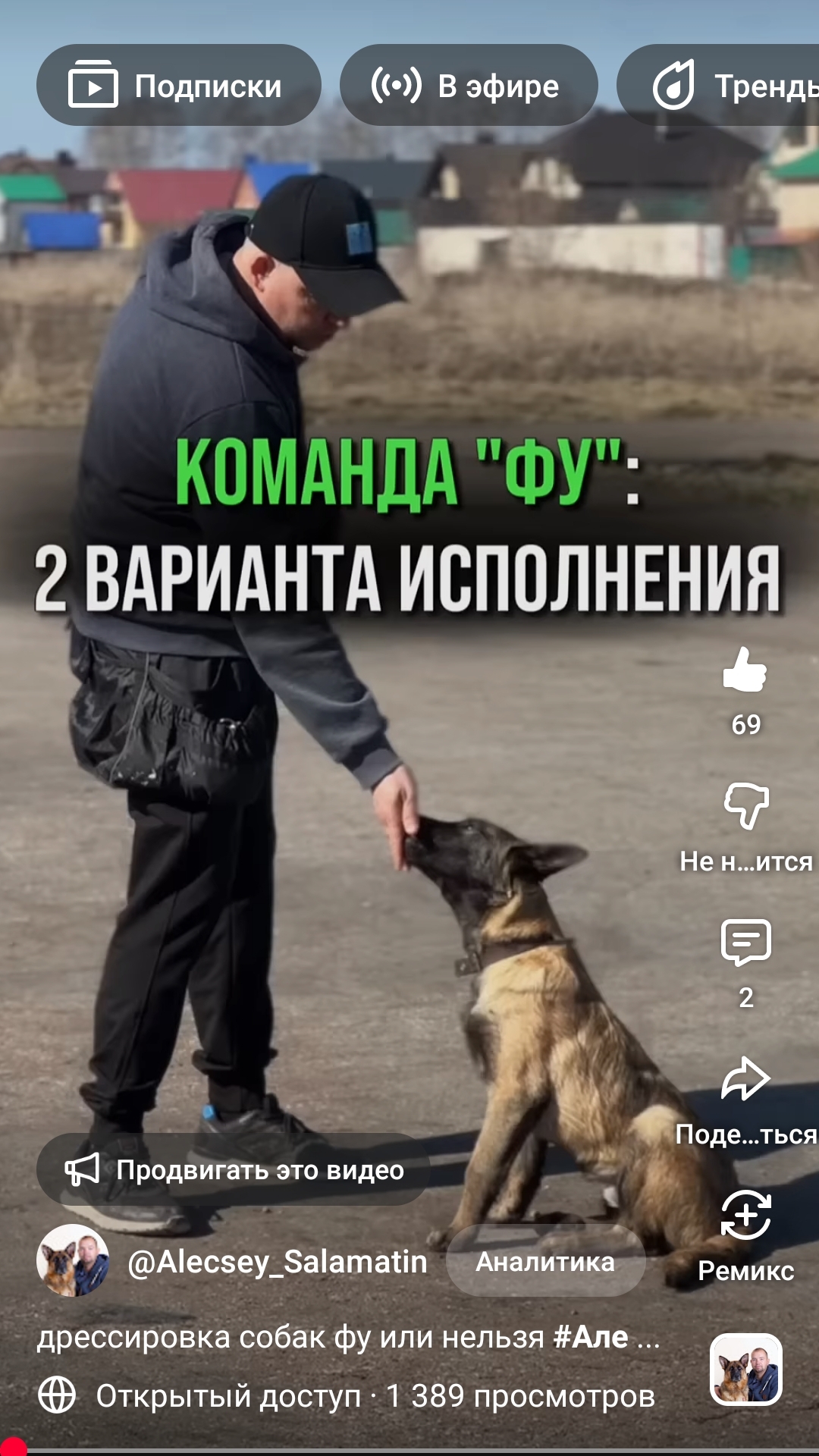 дрессировка команда фу