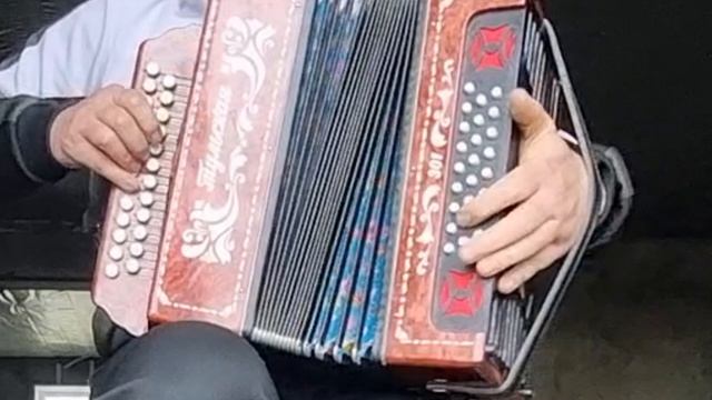 Напилася я пьяна на гармони мелодия.