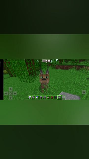 Несколько секунд милоты🤗🤗🤗