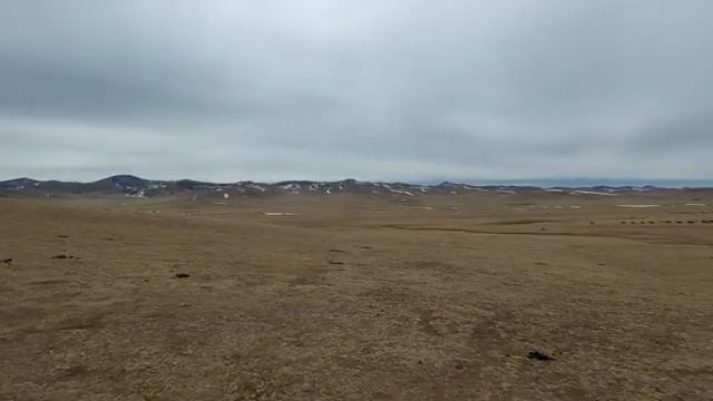 Nella_steppa_della_Mongolia