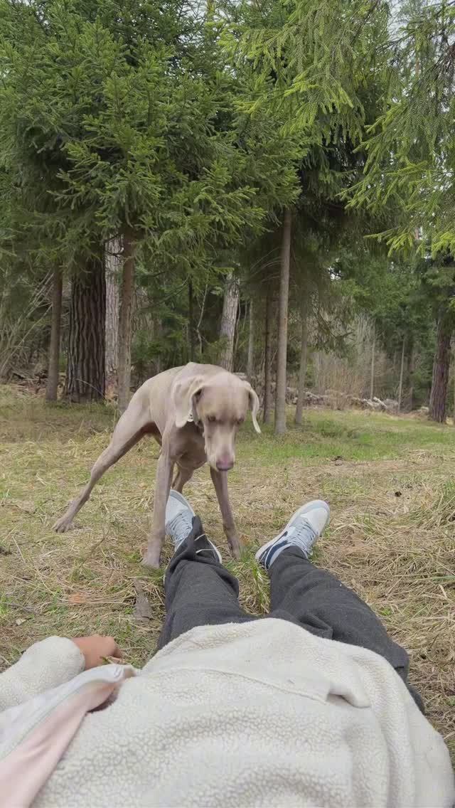 ОСКАР И ДЖОНИ СПАСЛИ НИКИТУ ОТ ЗАРАЖЕНИЯ 😬