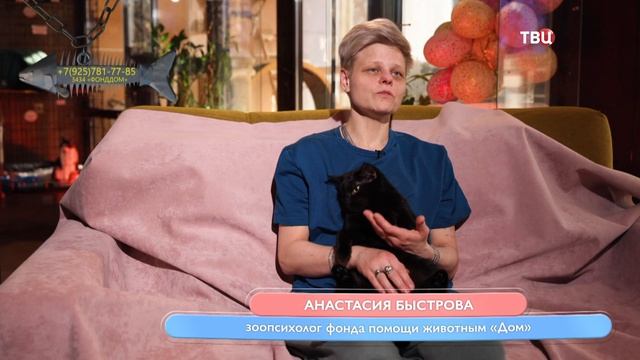 Нежный Степан