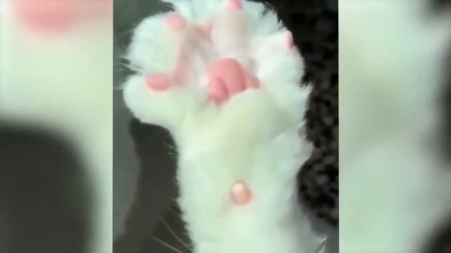 Видео от Департамент Кринжовых Видосов | ДКВ