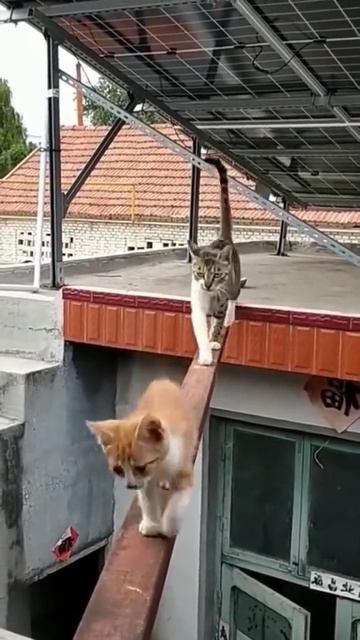 Мама с тобой всегда и везде,и одного не оставит в беде!