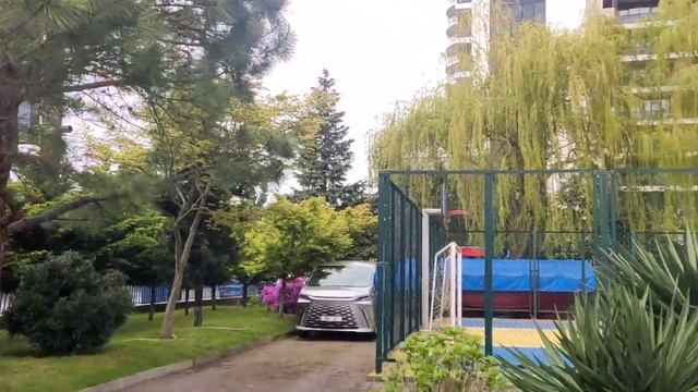 Цветущие сады Махинджаури, Аджария 21.04. Елена Тяжева. МНШУ