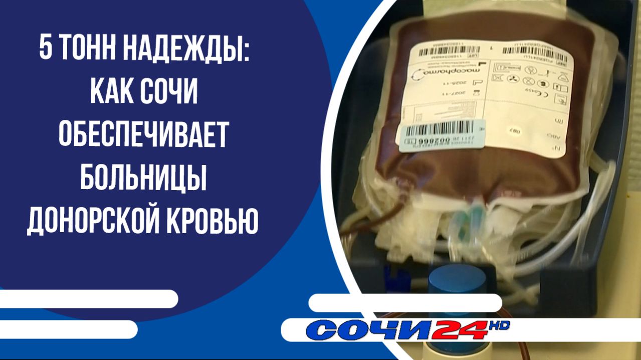 5 тонн надежды: как Сочи обеспечивает больницы донорской кровью